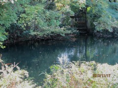IMG_0810