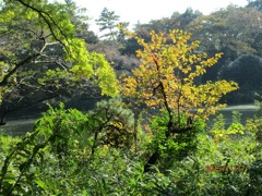 IMG_0808