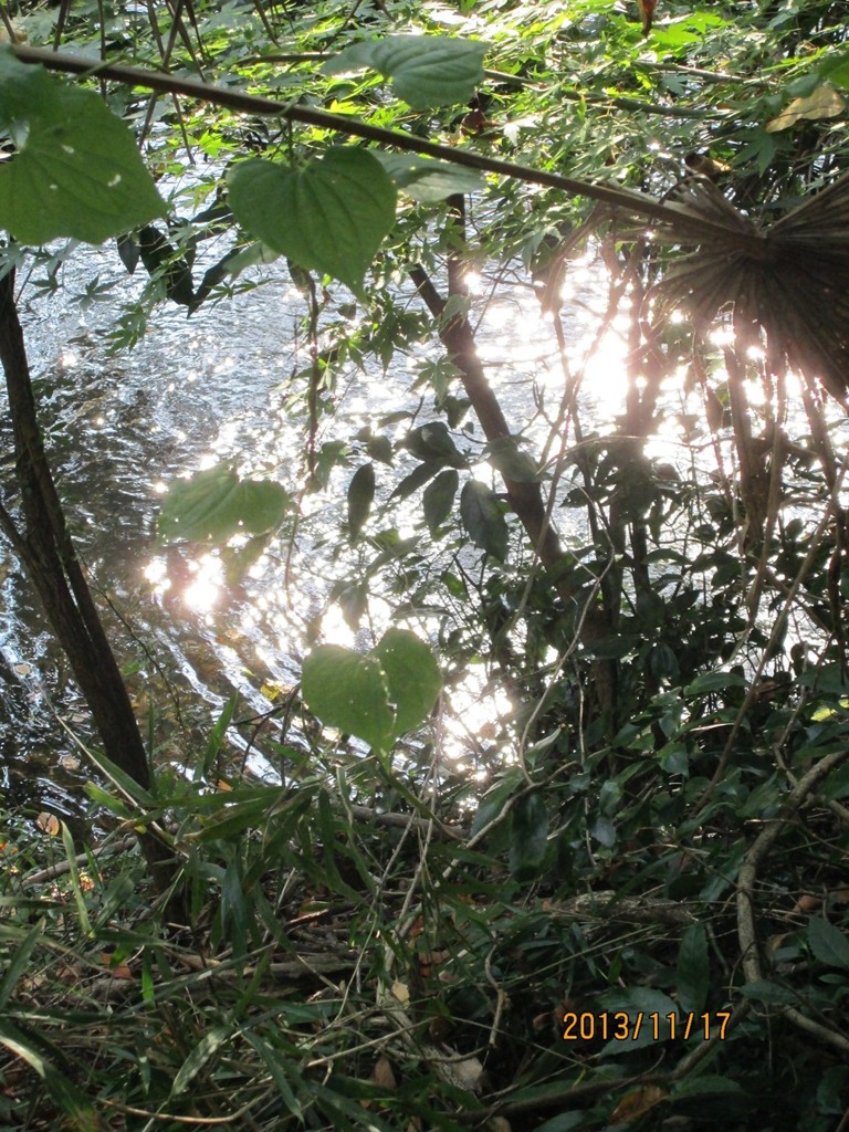 IMG_0779