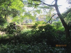 IMG_0806