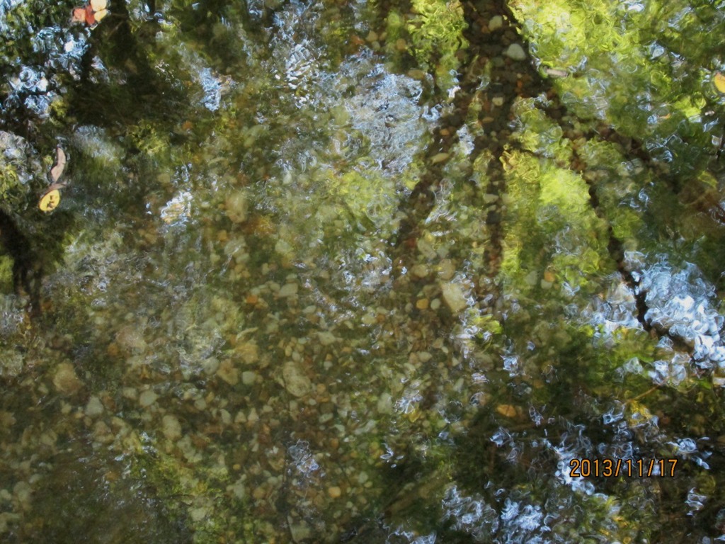 IMG_0791