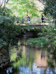 IMG_0794