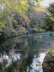 IMG_0811