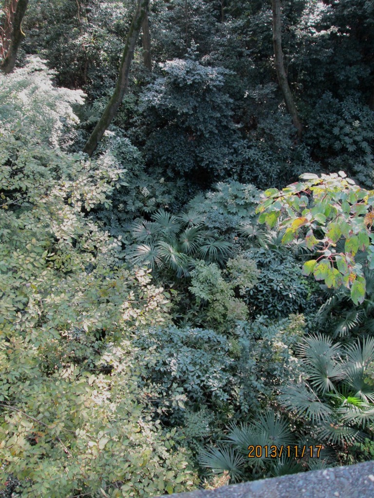 IMG_0770