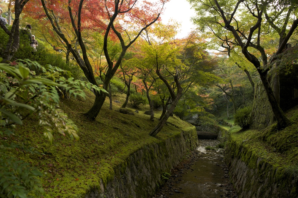 東福寺