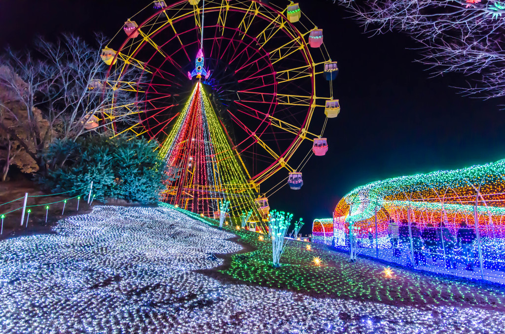 東京ドイツ村2013-2