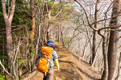 大倉尾根の尾根道を行く