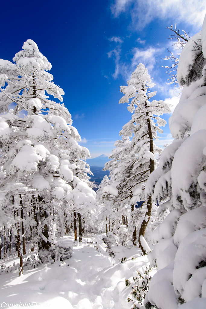 八ヶ岳登山のひとこま。
