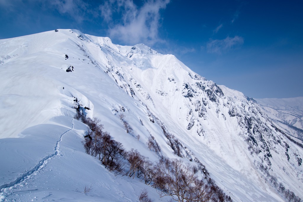 西黒尾根から谷川岳の双耳峰を望む