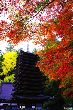 2018紅葉（談山神社1・十三重塔）