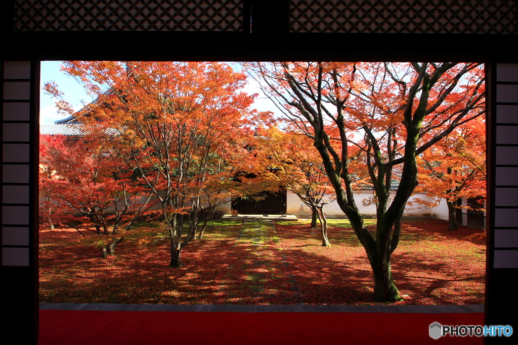 2017秋紅葉（妙覚寺1）