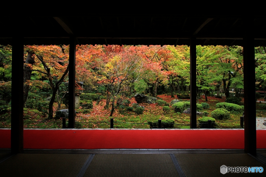 2015紅葉（圓光寺1）