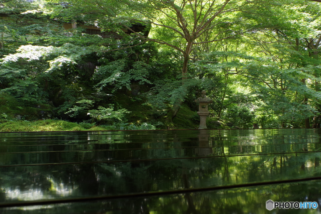 床もみじ　瑠璃光院