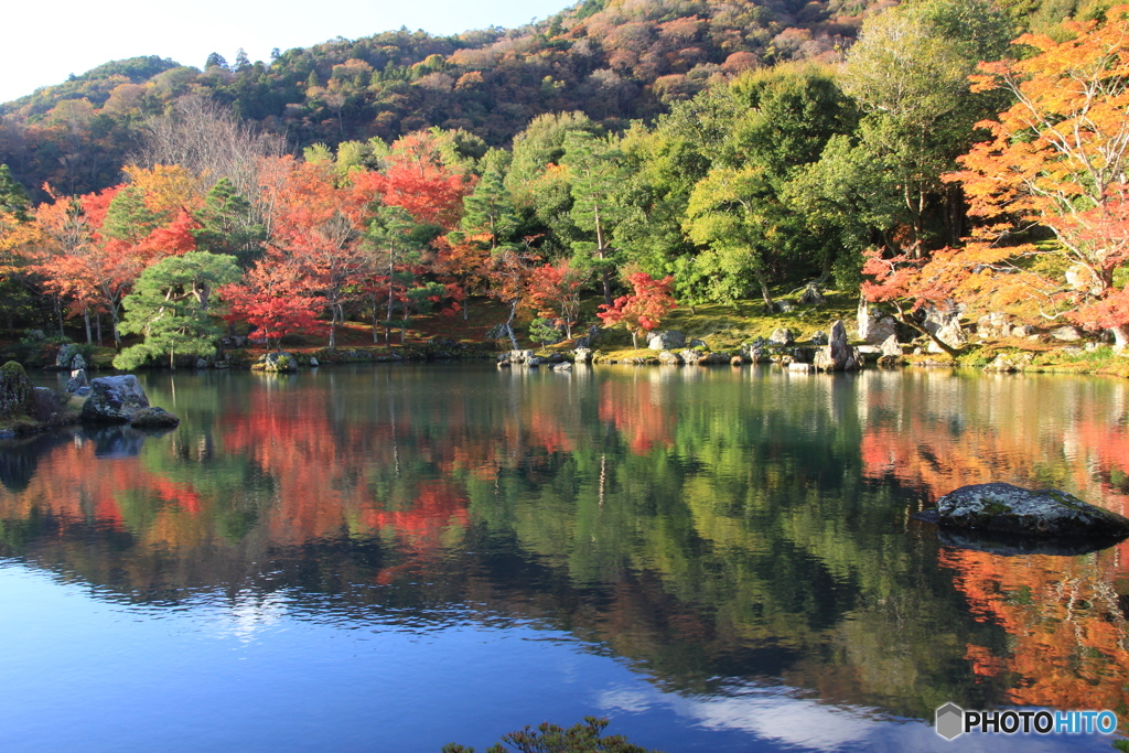 2017秋紅葉（天龍寺　曹源池）