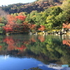2017秋紅葉（天龍寺　曹源池）