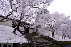 雪の曼殊院門跡