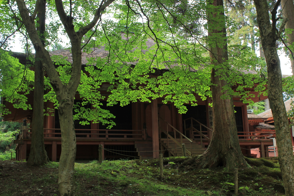 延暦寺　西塔