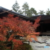 2016秋景色4（紅葉　修学院離宮2）