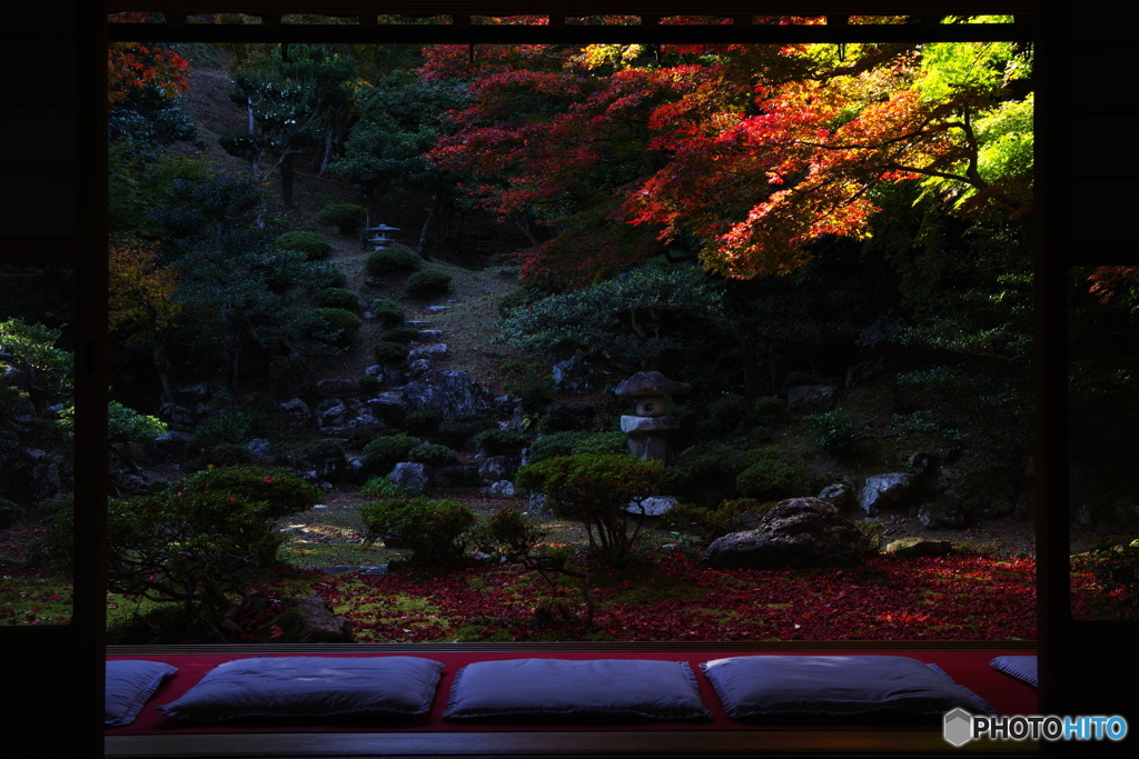 2018紅葉（清瀧寺徳源院1）