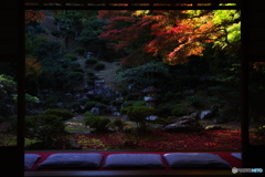 2018紅葉（清瀧寺徳源院1）