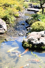 初秋の對流山荘2
