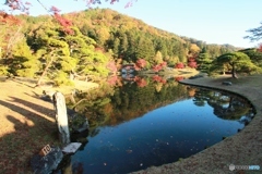 2019紅葉（修学院離宮1）