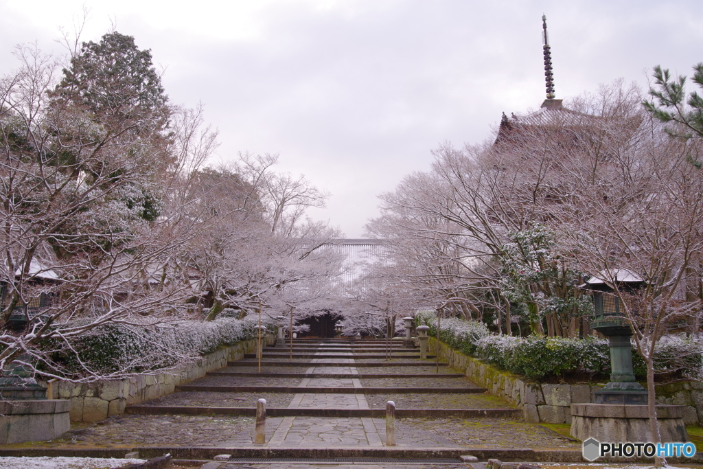 雪の真如堂