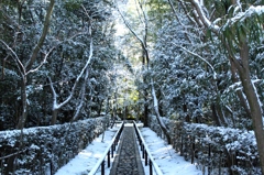 高桐院参道・雪化粧