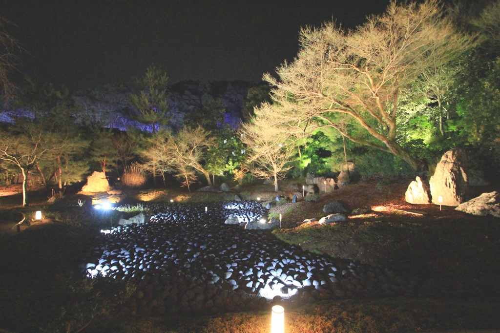 2014嵐山花灯路③（宝厳院）