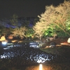 2014嵐山花灯路③（宝厳院）
