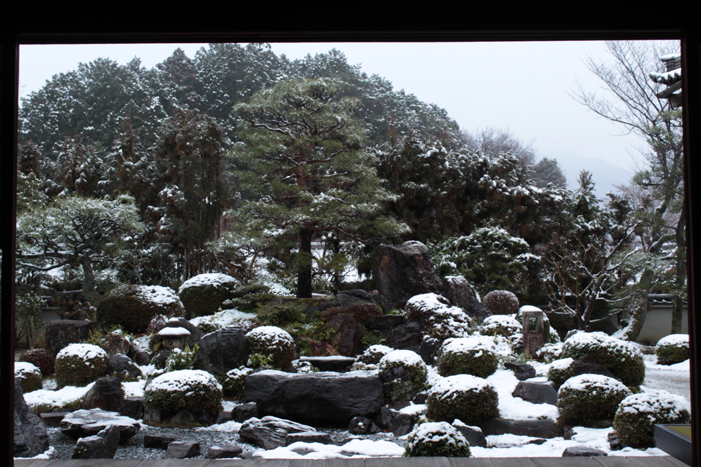 妙満寺1