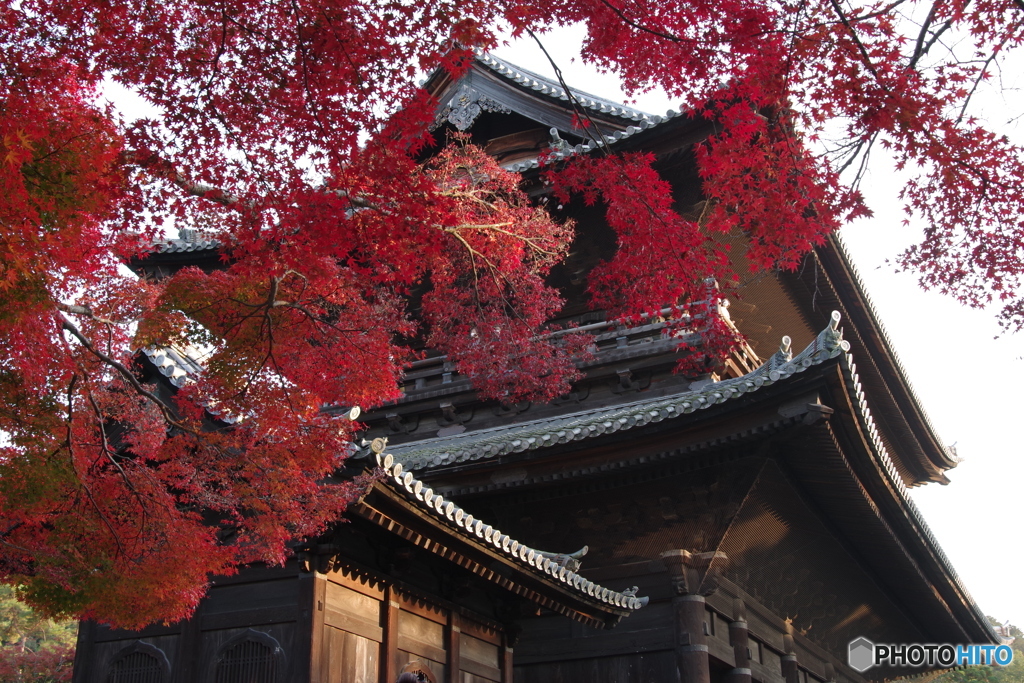 2021京の紅葉（南禅寺三門）