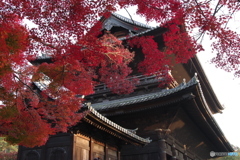 2021京の紅葉（南禅寺三門）