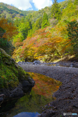 2021京の紅葉（錦雲峡2）