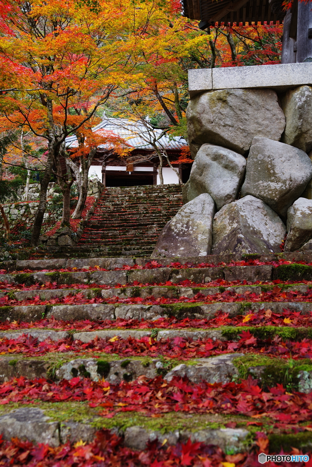 2018紅葉　滋賀県とある寺にて3