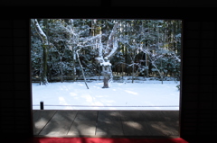 高桐院