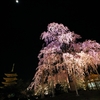 2015・桜めぐり③（東寺　桜・塔・月）