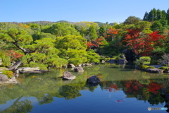 對流山荘の紅葉1
