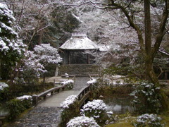 雪の法然院（2011）