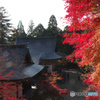 神護寺の紅葉1（2020京都紅葉）