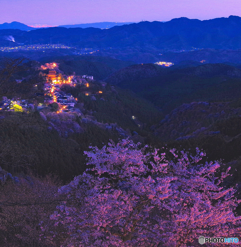 2019年プレイバック　4月　吉野山桜