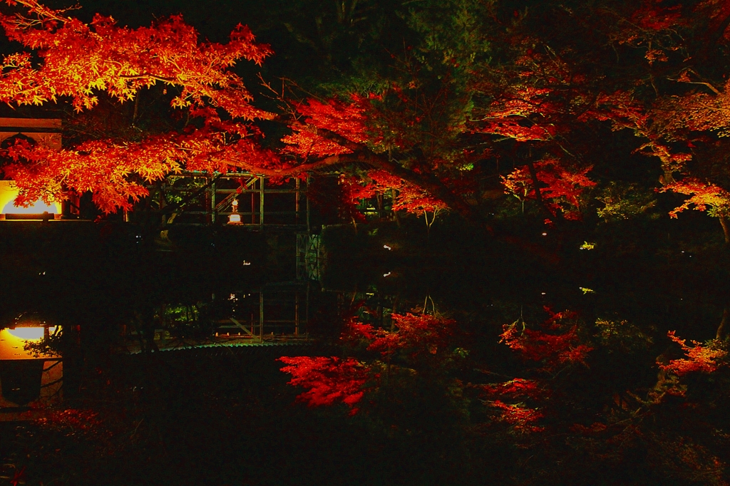高台寺・2014秋②（臥龍池　ライトアップ）