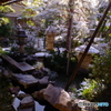 2月9日　金沢・雪（武家屋敷跡　野村家）
