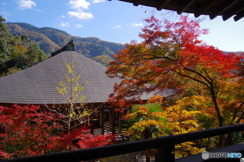 楼閣からの紅葉