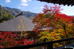 楼閣からの紅葉