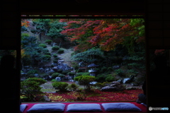 2018紅葉（清瀧寺徳源院2）