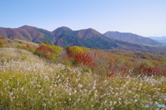 彩りを添える（大山・蒜山秋景色１　鬼女台にて）