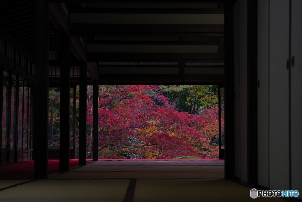 2021京の紅葉（天授庵12）