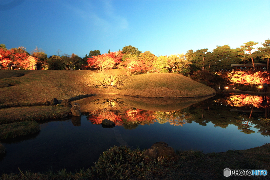 2017秋紅葉（梅小路公園　朱雀の庭ライトアップ）