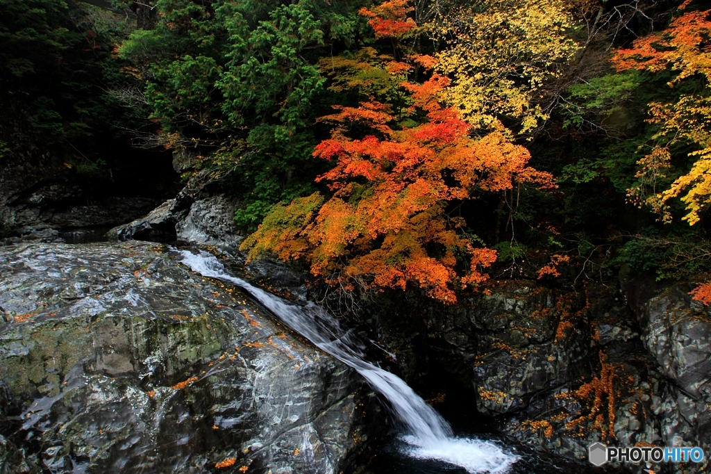 2015紅葉（みたらい渓谷6）